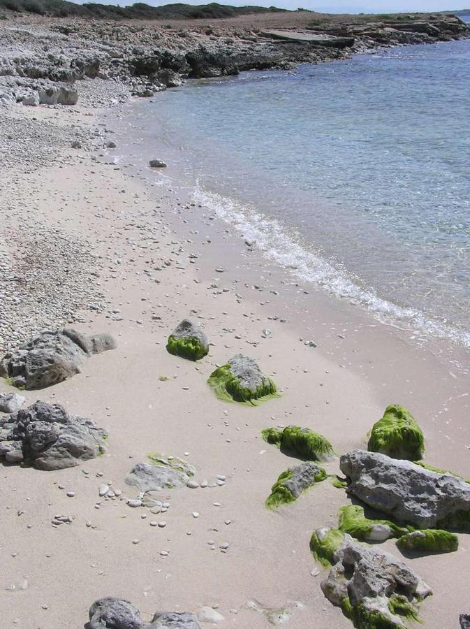Casa Minicapo Mandriola Διαμέρισμα San Vero Milis Εξωτερικό φωτογραφία